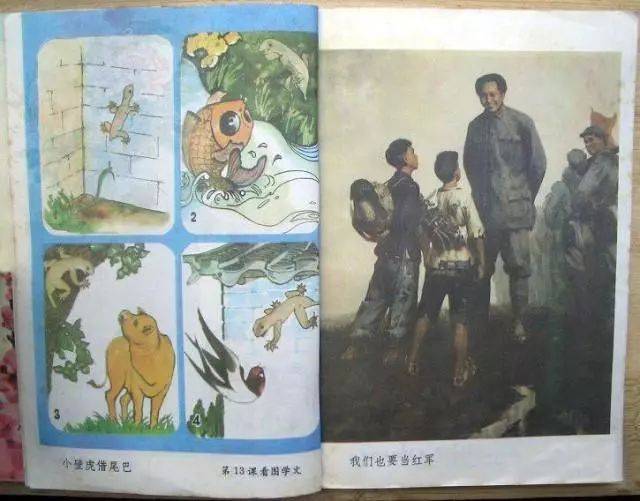 故紙:80年代小學語文課本里的插圖,還記得嗎?