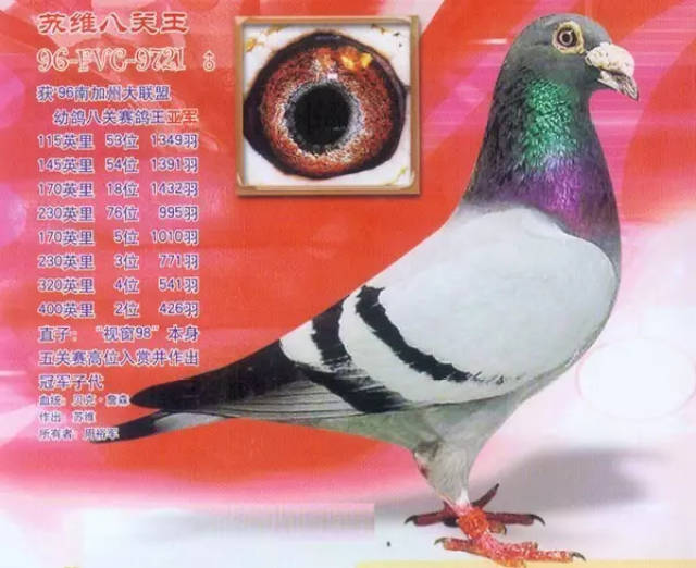 赖铭涺: 林基生: 张安顺: 宋学潭: 何宾: 孙进海: 盛晓明: 东盟国际