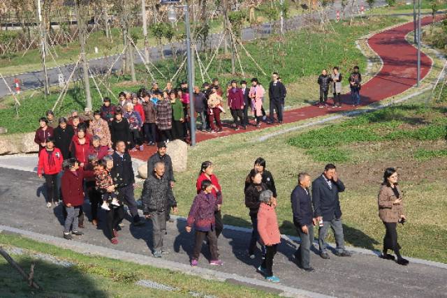 凤桥镇永红村图片