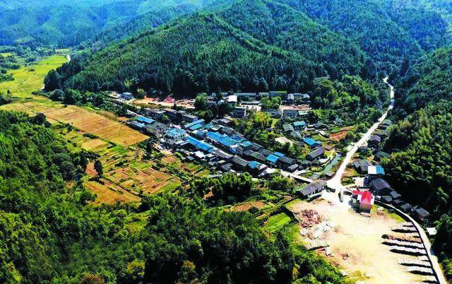 长汀县四都镇楼子坝村昔日红土地如今绿满坡