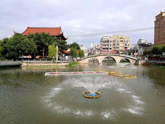 双11这天,他们在柳市镇开展义拍活动