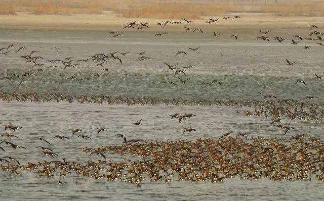 孟津黄河滩上最传奇的历史重镇美景,还有美食连吃三天不重样!