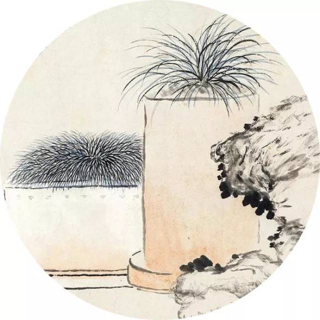 古人的菖蒲养护指南