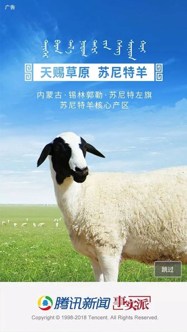 苏尼特羊,早已名"名羊天下.