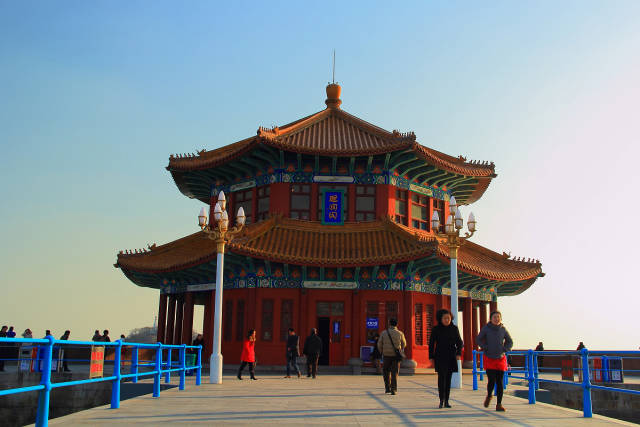 靠活头条:青岛大妈都爱来这赶海,一天能挖八十斤螃蟹!_手机搜狐网