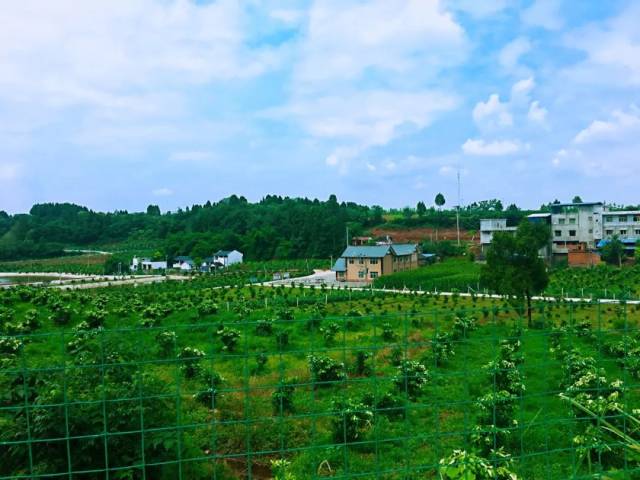 跟着微信逛简阳 | 禾丰镇 生态宜居特色小城镇