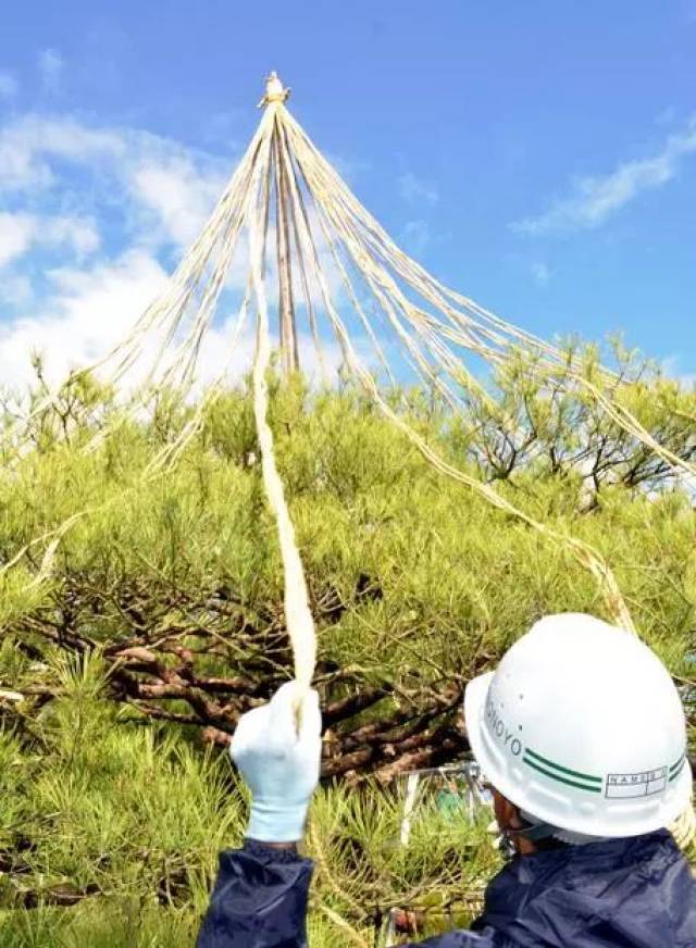 【日语加油站】冰雪节、雪吊、被炉···日本