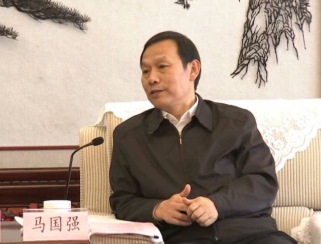 签约前,湖北省委副书记,武汉市委书记马国强,市长周先旺与宝武集团