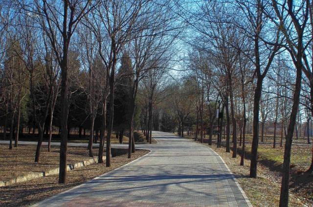 再现郊野-镇海寺郊野公园(朝阳区)闲走北京