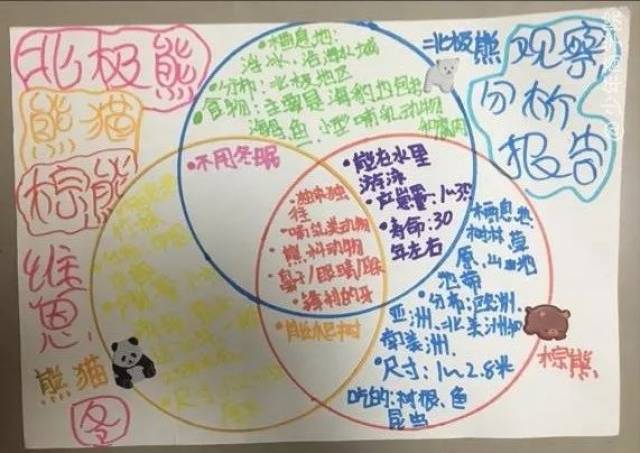 一张超简单的思维导图,让孩子变"被动学习"为"主动探索"