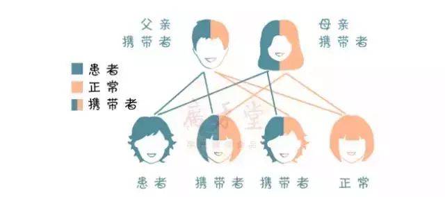 这些特征最容易隔代遗传!