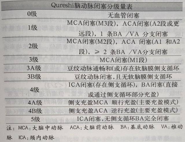 脑血管侧枝循环分级 (转载)