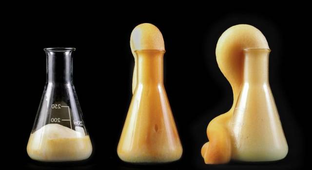 大象牙膏、天气预报瓶是什么?上海书城奇趣化学实验就差你的了!