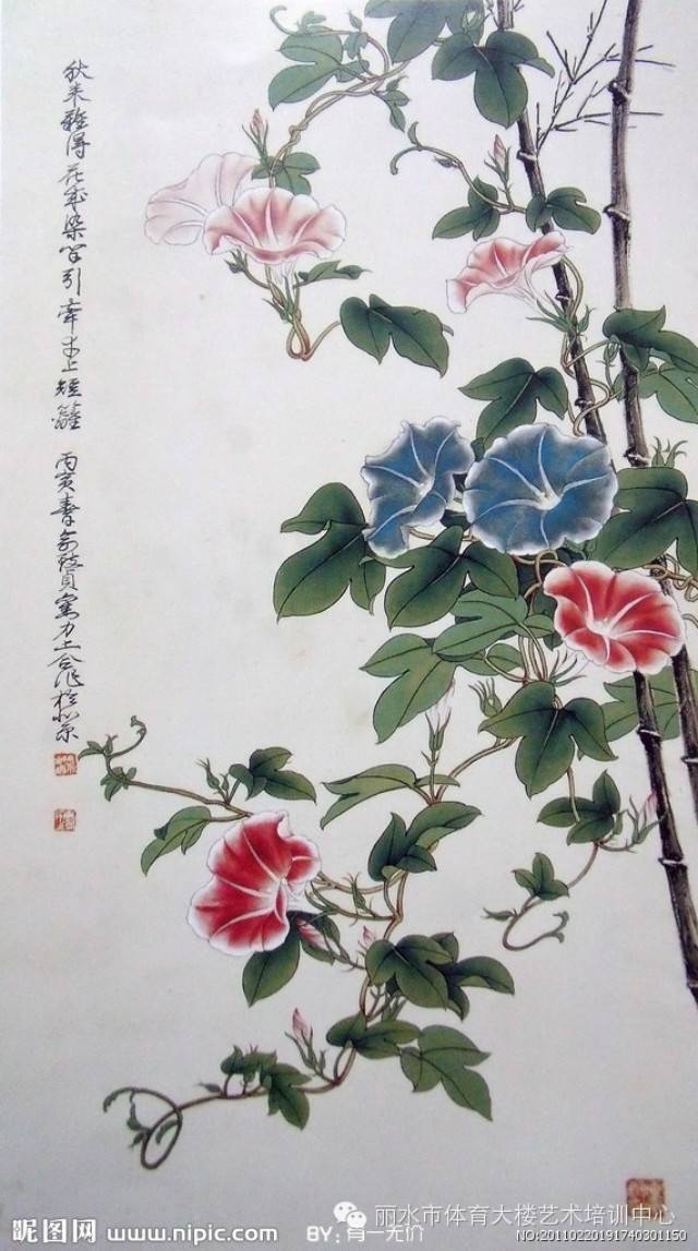 100副国画牵牛花,太美了~(附教程)_手机搜狐网