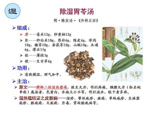 皮肤科临床方剂讲堂除湿胃苓汤