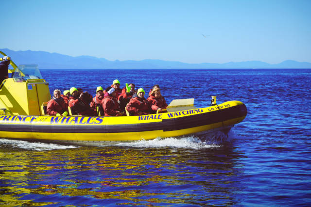 乘坐昂贵奢华的顶级观光列车,一览枫叶之国的波澜壮阔