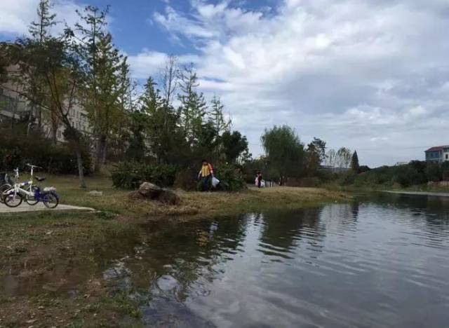 二是 增加綠化,在五洩江集鎮段建造了一個佔地60畝的生態公園; (撬