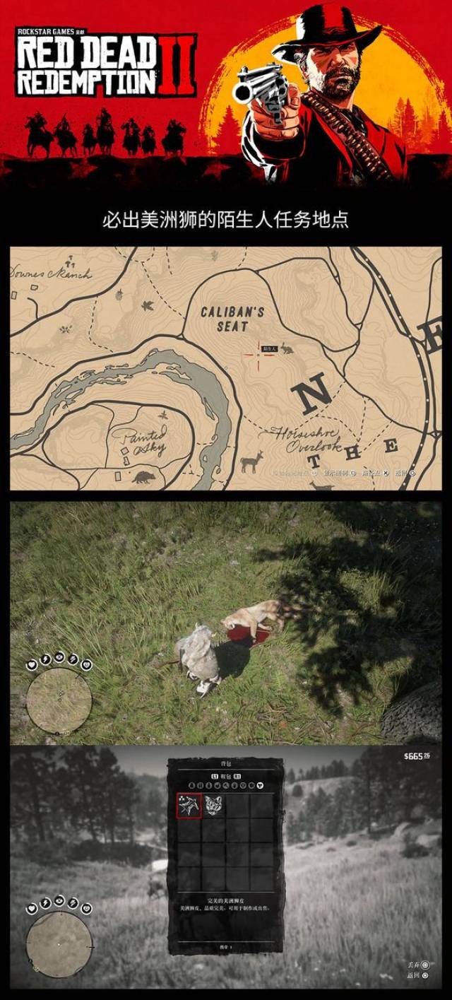 荒野大镖客2必出美洲狮陌生人任务坐标位置一览