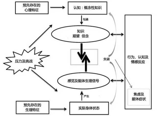 如图所示,情绪通常被视为包含行为,心理及心理变化在内的心理赚态