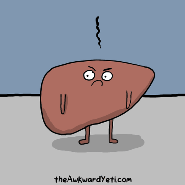 会加重肝脏负担吗?