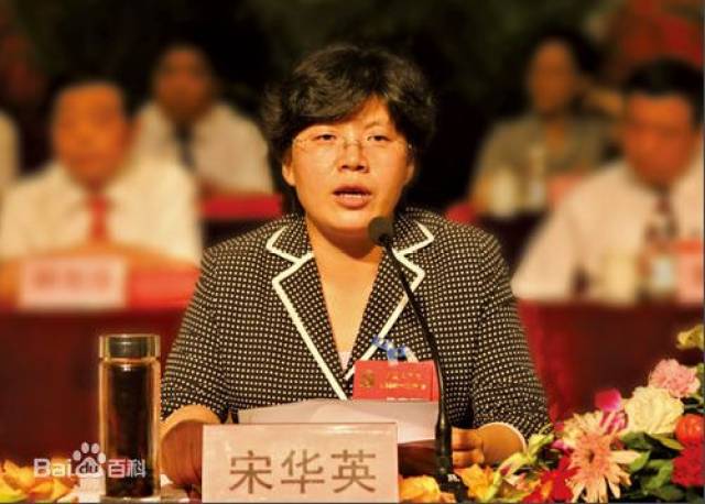 宋华英任邢台市委副书记