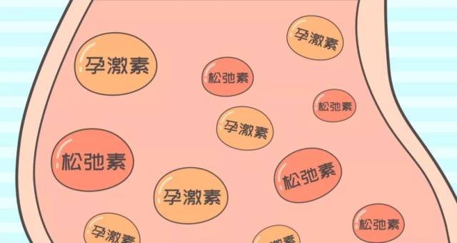 怀孕期间上升的激素会让盆底肌肉韧带变得更加松弛,激素的作用甚至会