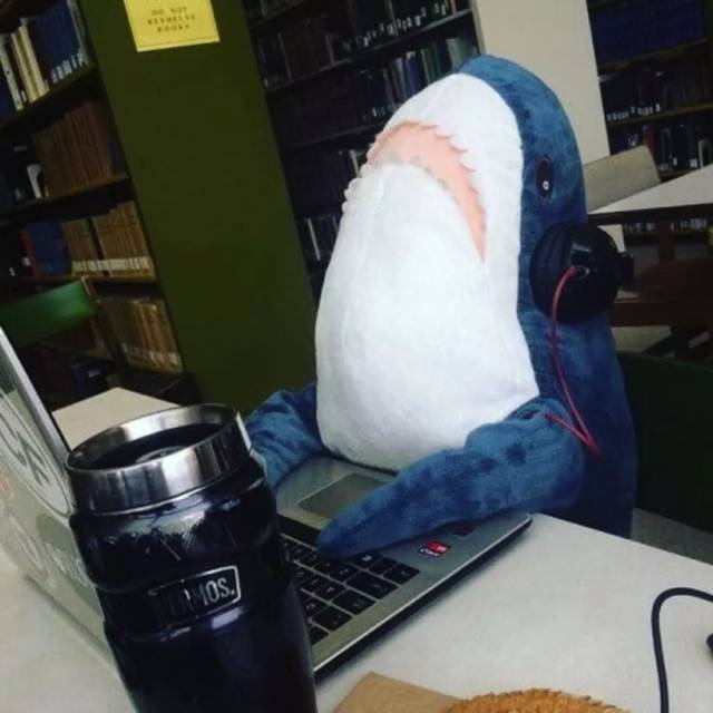 宜家小鲨鱼突然无理由爆红!全世界疯抢,连宜家自己都懵了.