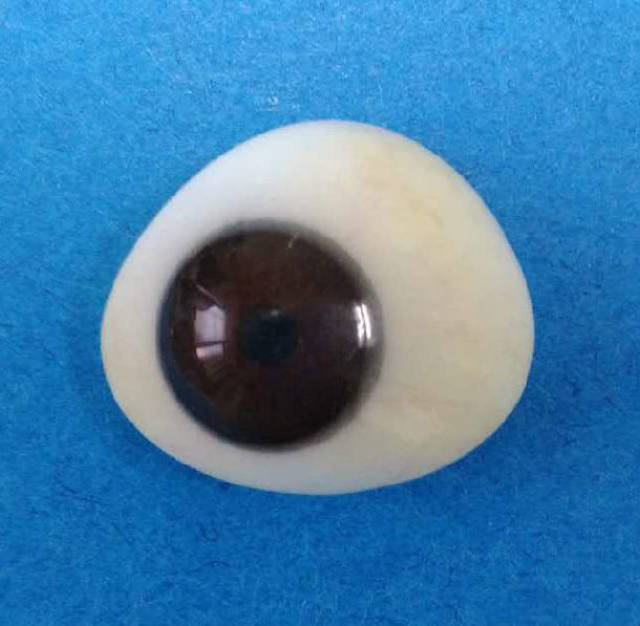 义眼台和义眼片照片_手机搜狐网