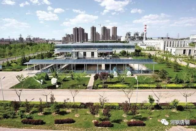 河北新闻联播专栏报道河钢唐钢高质量发展成就_搜狐网