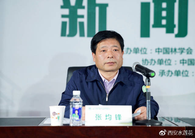 蓝田县副县长张均锋