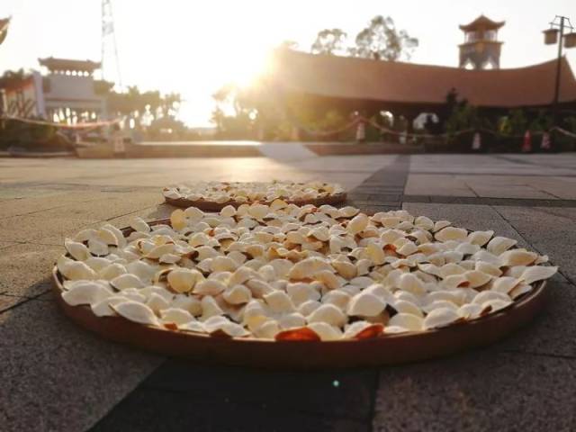 好陈皮从挑选新会柑开始，教你做出优质新会陈皮！