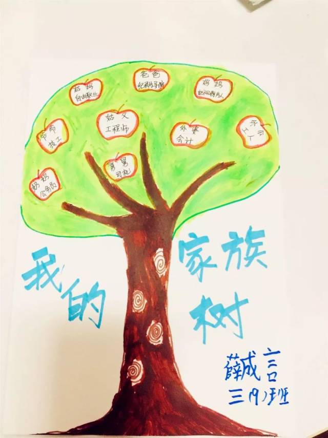 根深叶茂的家族树绘画图片