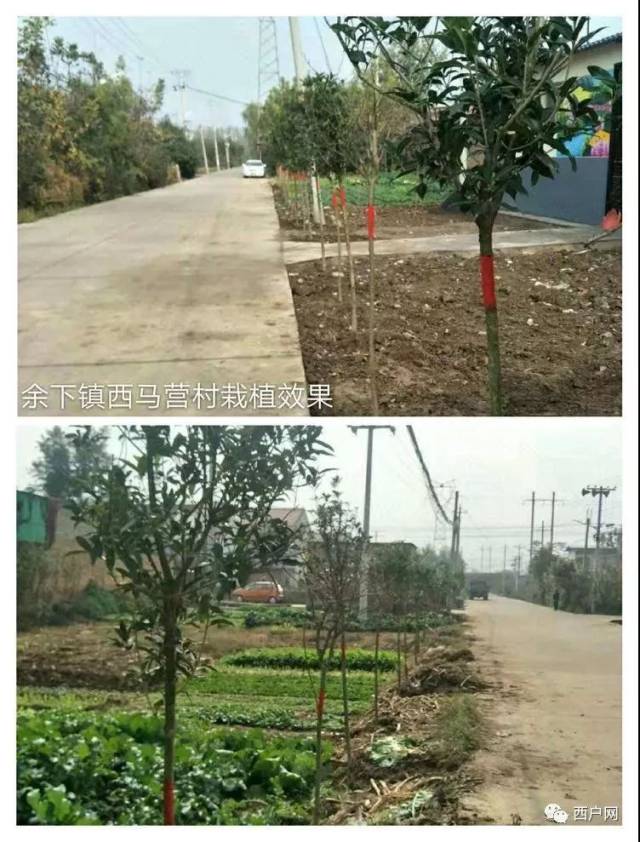 余下镇南马营村,罗什村,五庄村;涝店镇杨家滩村;蒋村镇圣母山;五竹镇