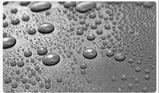 具有荷叶般疏水效果