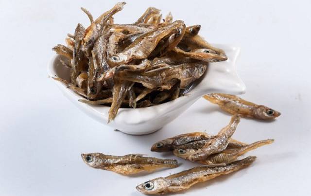 刚生的橘猫可以喝牛奶吗,小橘猫能喝牛奶吗