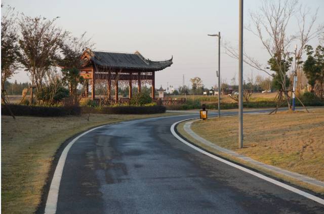 官亭林海生態公園一隅