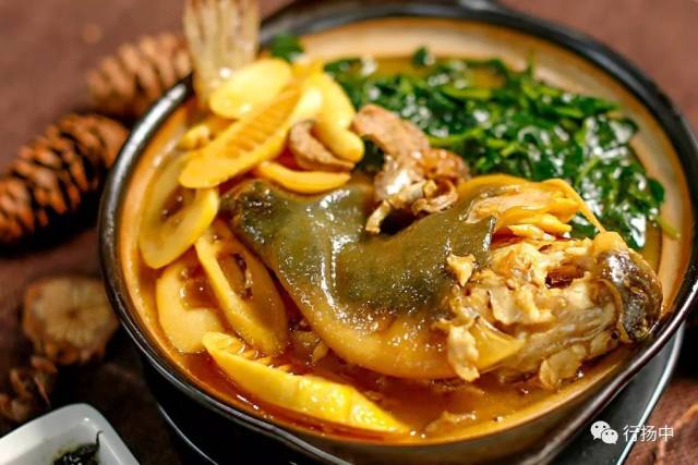 这里的河豚捞饭鲜香浓稠,舔一口都粘嘴巴!家里没矿也能来!