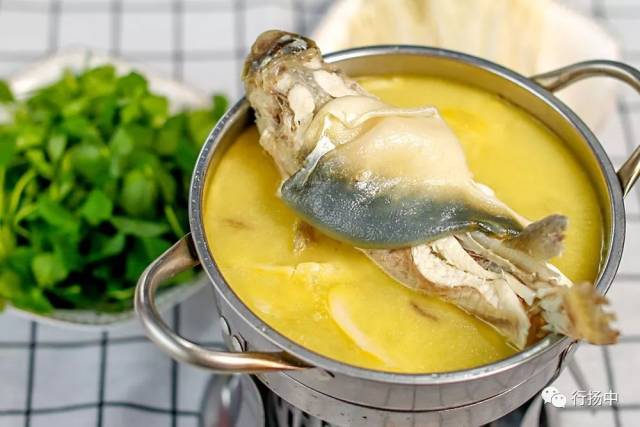 这里的河豚捞饭鲜香浓稠,舔一口都粘嘴巴!家里没矿也能来!