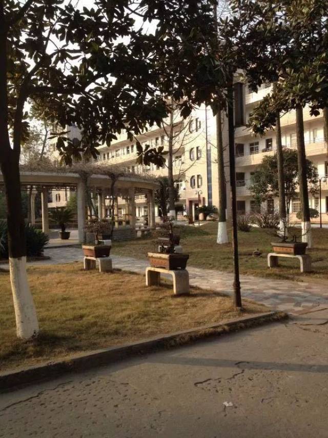 荆州中学老校区 就在荆州古城不起眼的小道里 藏着我们的青春