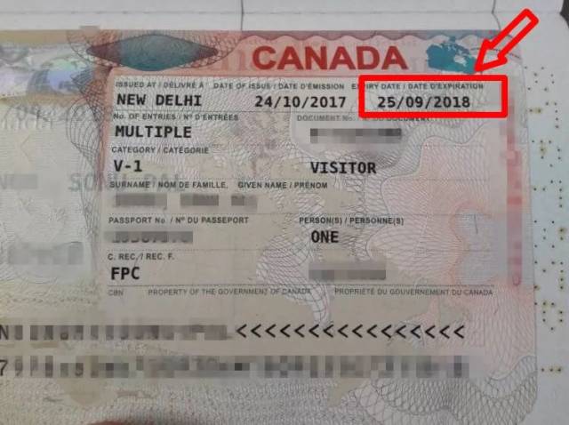 加拿大签证页图片