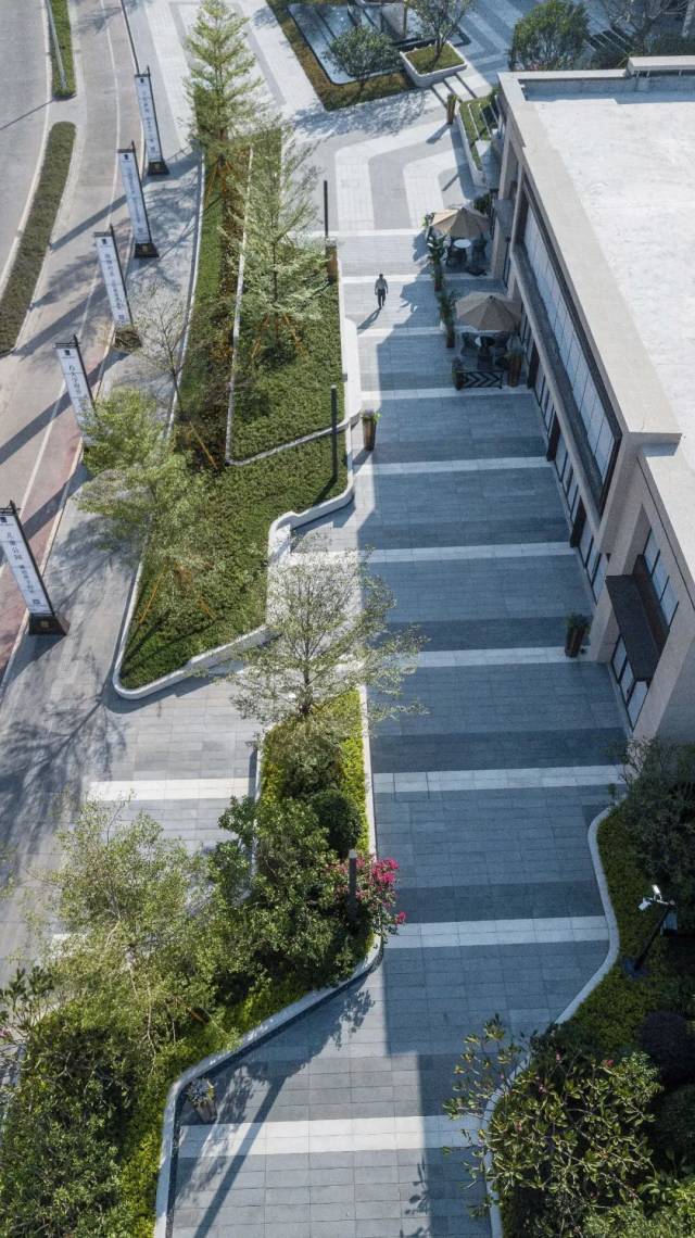 树池以及铺装的线型都表达了水波纹的概念