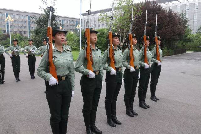 退伍仪仗女兵张学伟图片