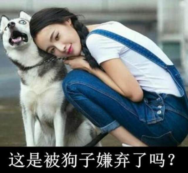 搞笑图片集:幼时不明书中意 再看已成书中人 多么痛的领悟!