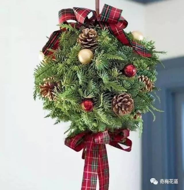 尤加利果 eucalyptus 花语:华丽