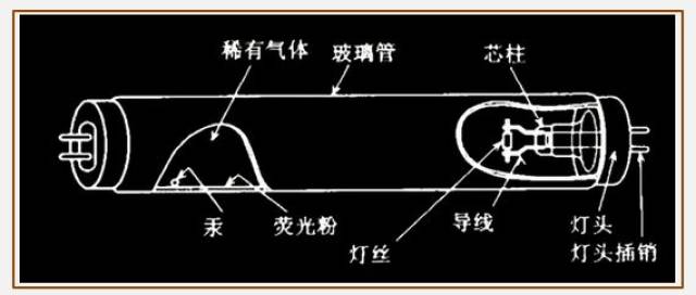 日光灯管内部结构图图片