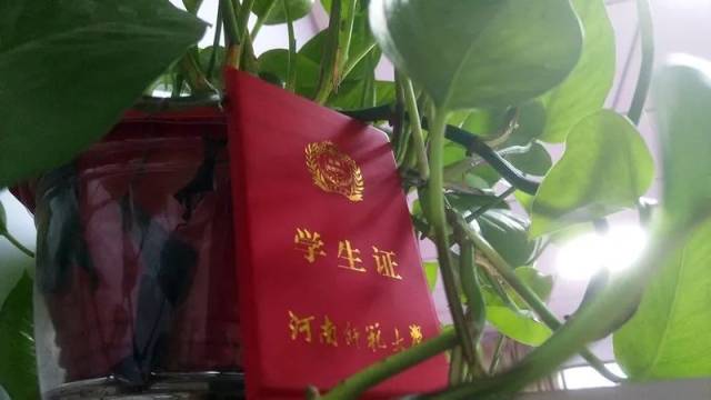 通知| 关于办理2018级新生学生证的通知