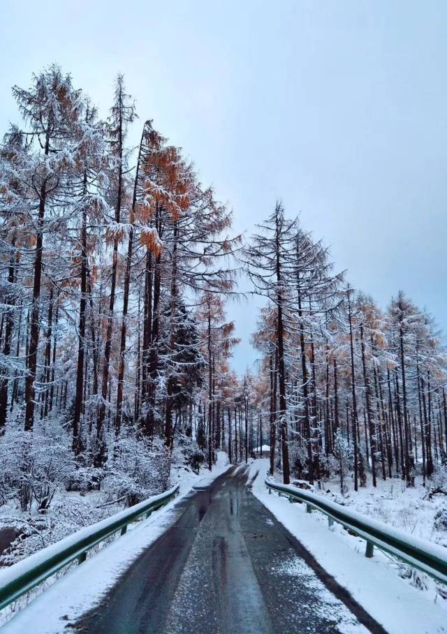 重慶周邊 除了重慶一些高山地區下雪外,重慶周邊也有很多地方也