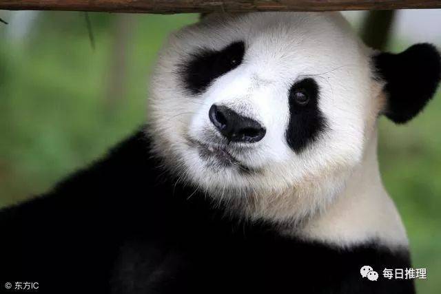 冷知识!百家姓中笔画最少的姓是哪个?