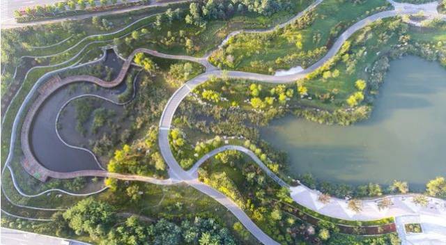 数十位专家齐聚研讨,中德生态园启动公园城市规划!