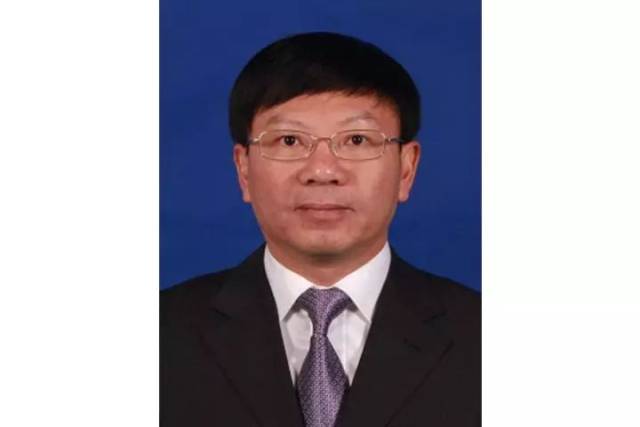 中共武义县委书记张新宇,拟任省级产业集聚区管理委员会主任!